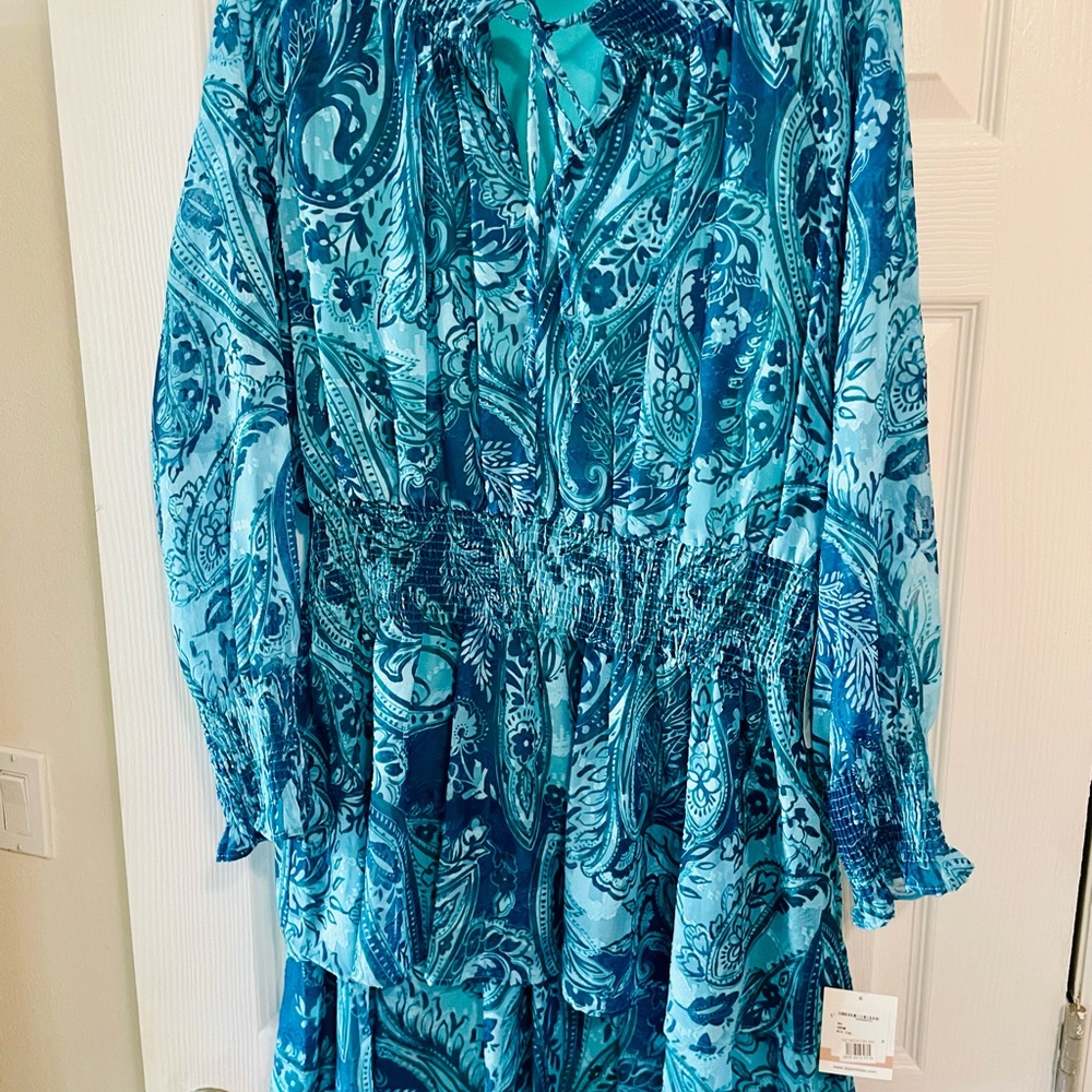 Taylor Teal Paisley Dress